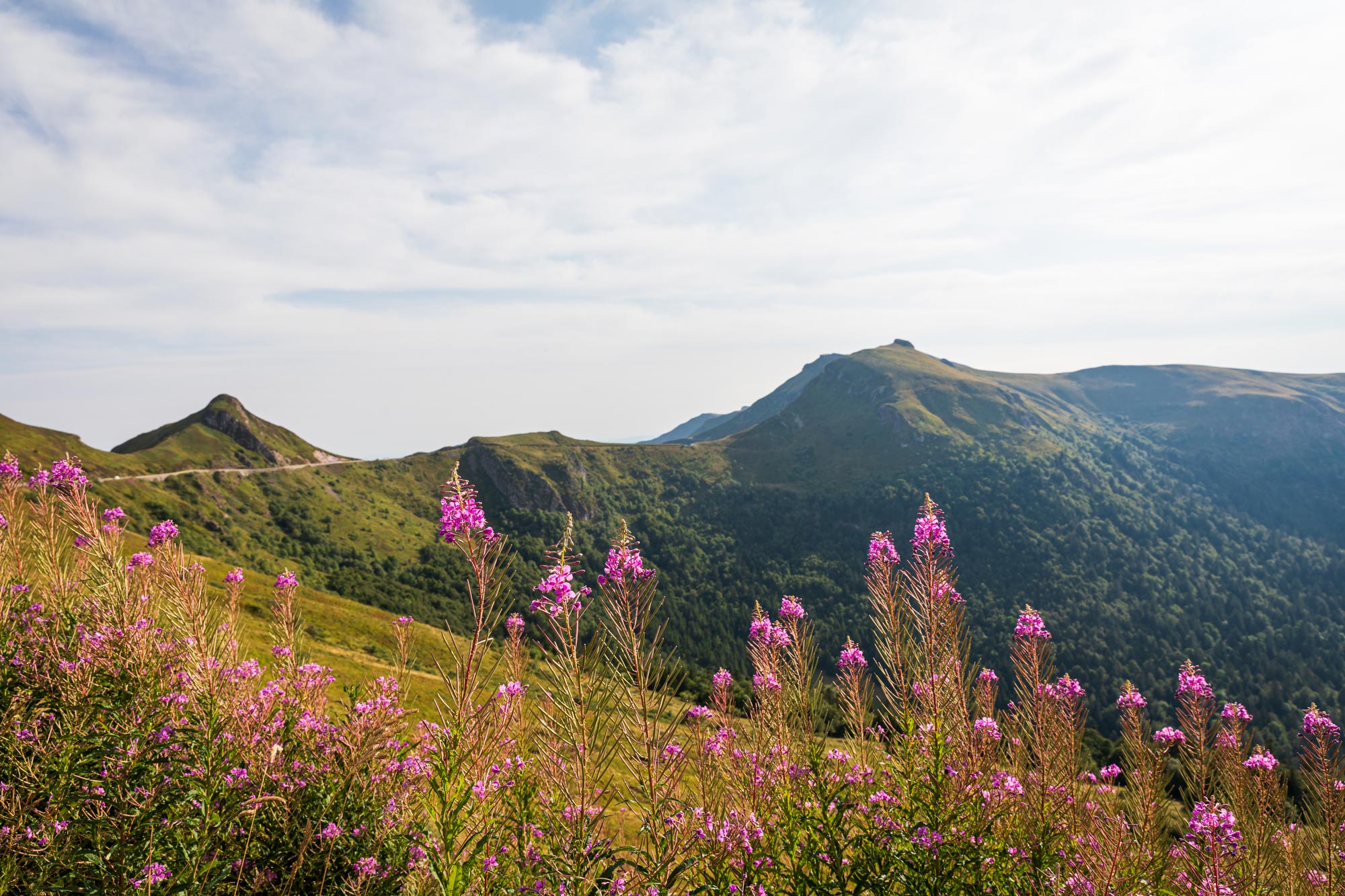 Puy Mary - Cantal ©puydimages